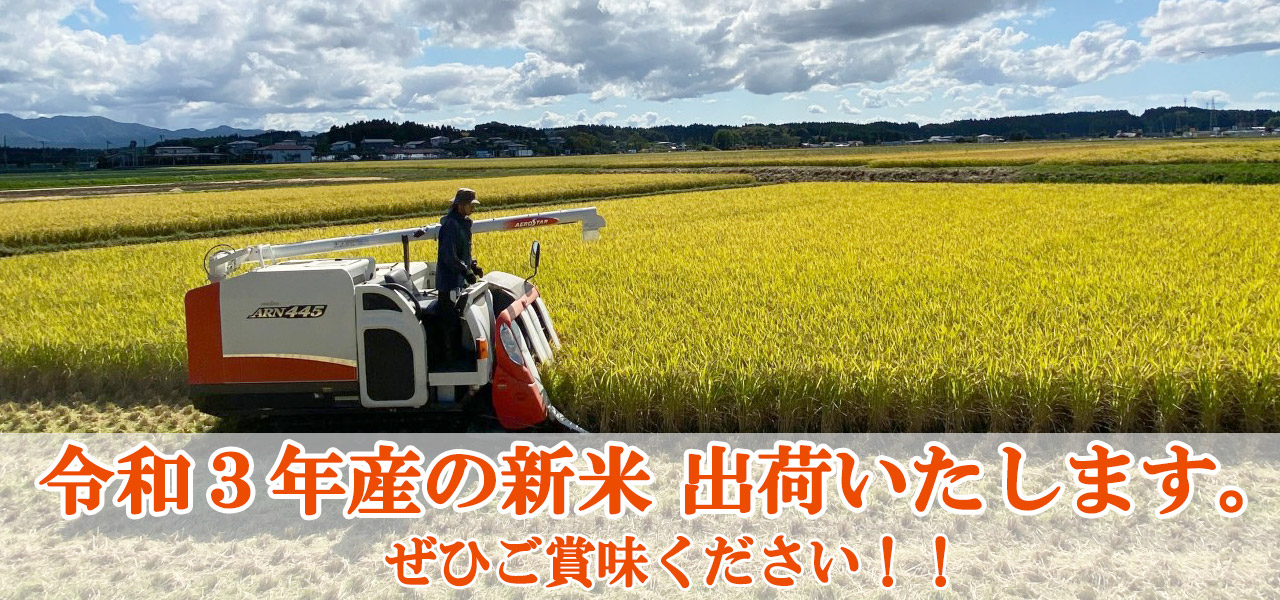 新米【5分つき精米】秋田県産 農家直送 あきたこまち 子どもに食べさせたいお米 10kg(5kg×2袋) 令和4年産 古代米付き